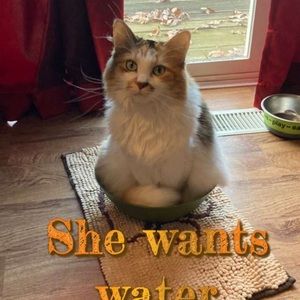 Meet your Posher, April